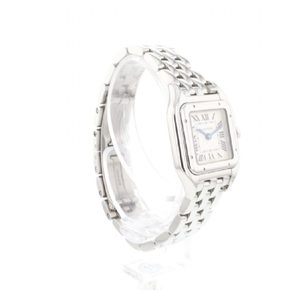 Panthere Small Steel Service 24'