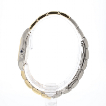 Panthere MM Steel Gold