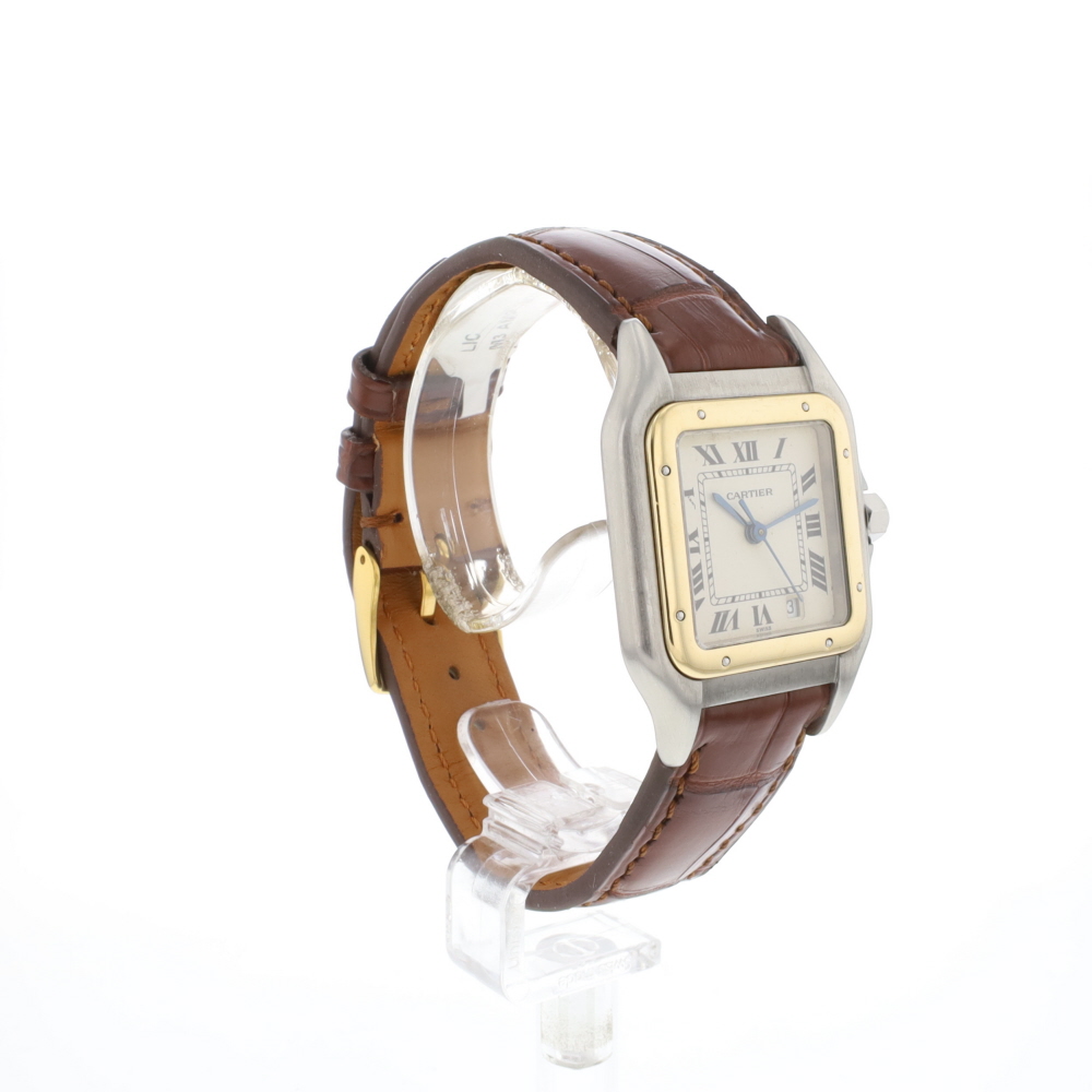 Panthere MM Steel Gold