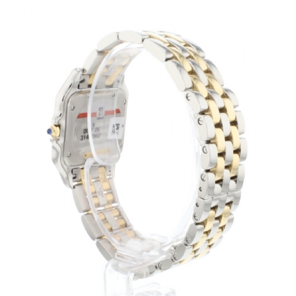 Panthere MM Steel Gold NEW '25