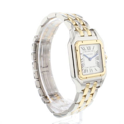 Panthere MM Steel Gold NEW '25