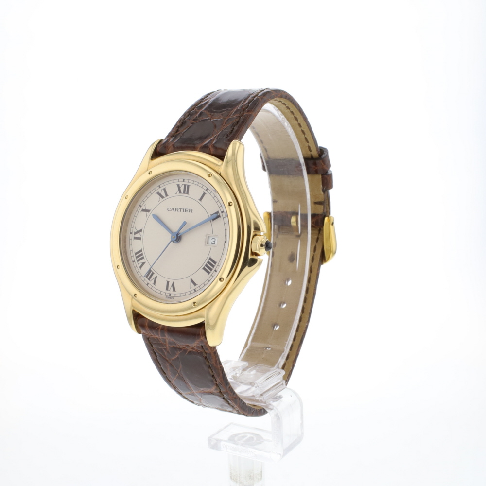 Cougar Yellow/Gold