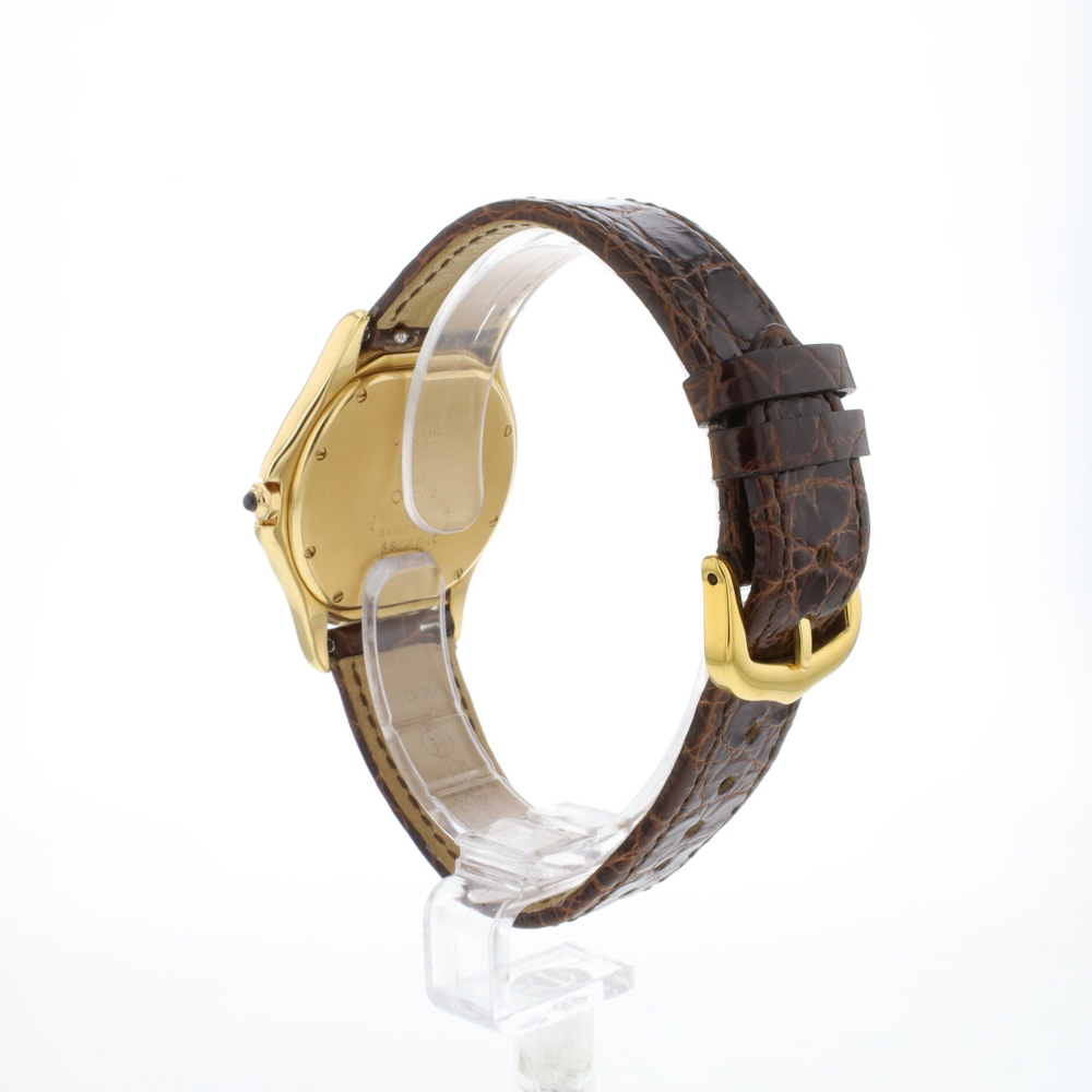 Cougar Yellow/Gold