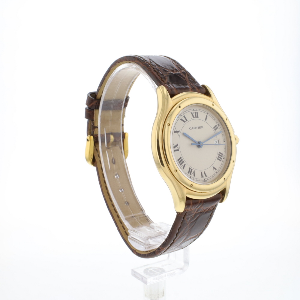 Cougar Yellow/Gold