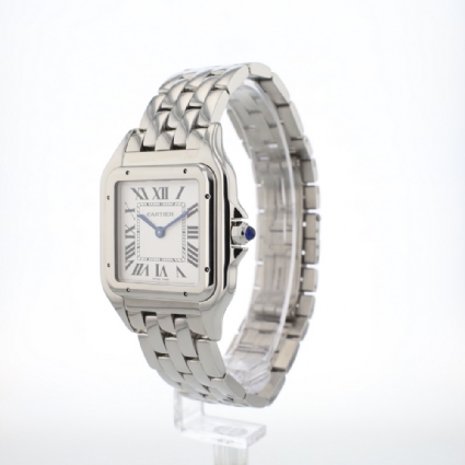 Panthere Large WSPN0016 Steel '26