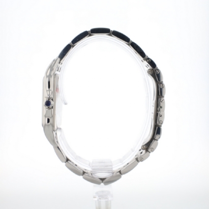 Panthere Large WSPN0016 Steel '26