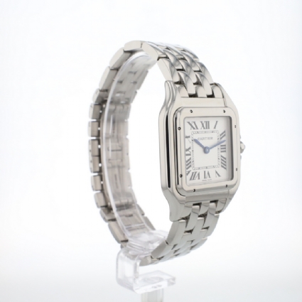 Panthere Large WSPN0016 Steel '26
