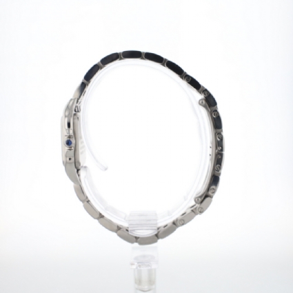 Panthere Small WSPN0006 Quartz Steel '23