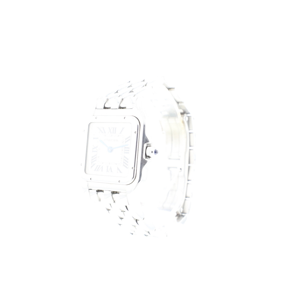 Panthere Medium Steel