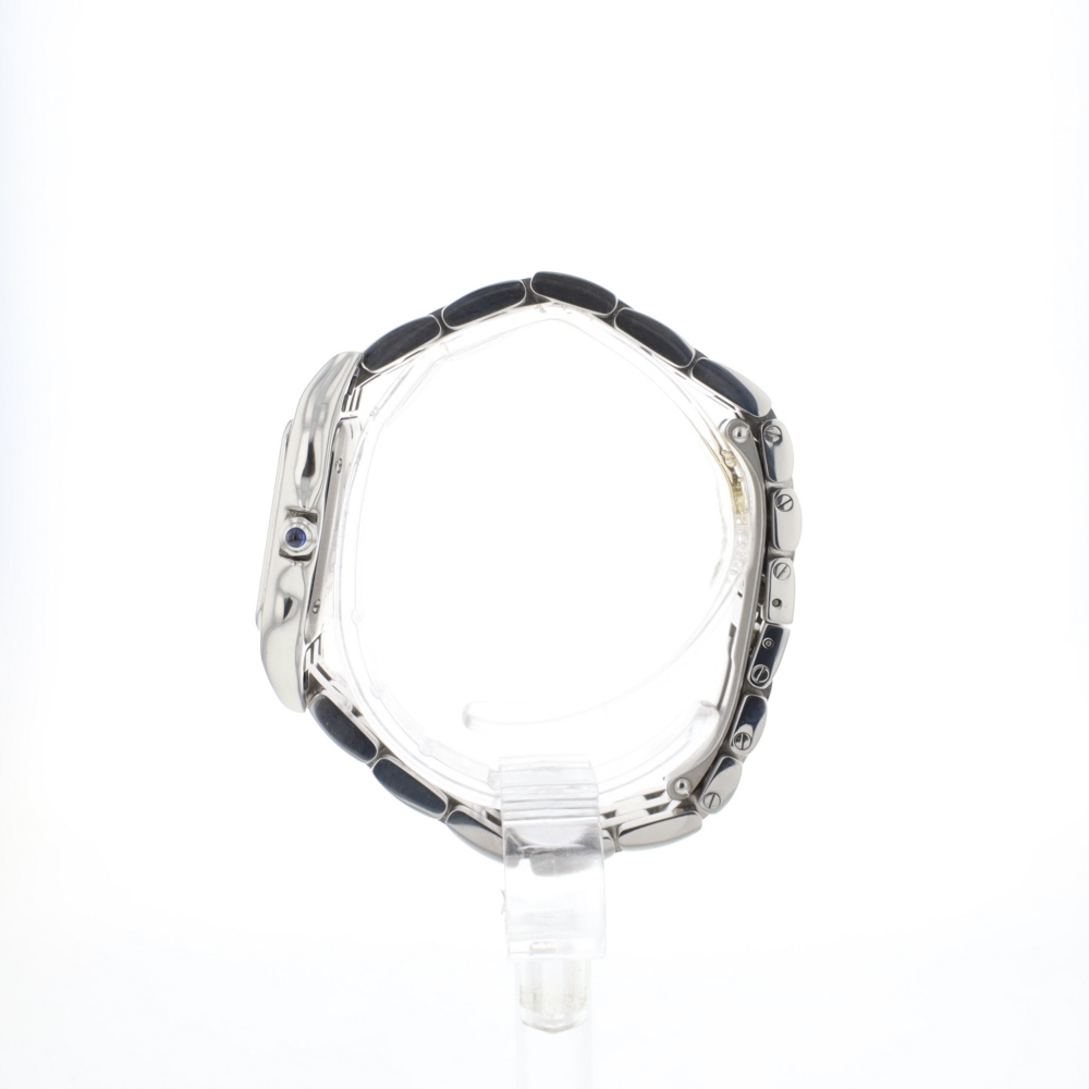 Panthere Medium Steel