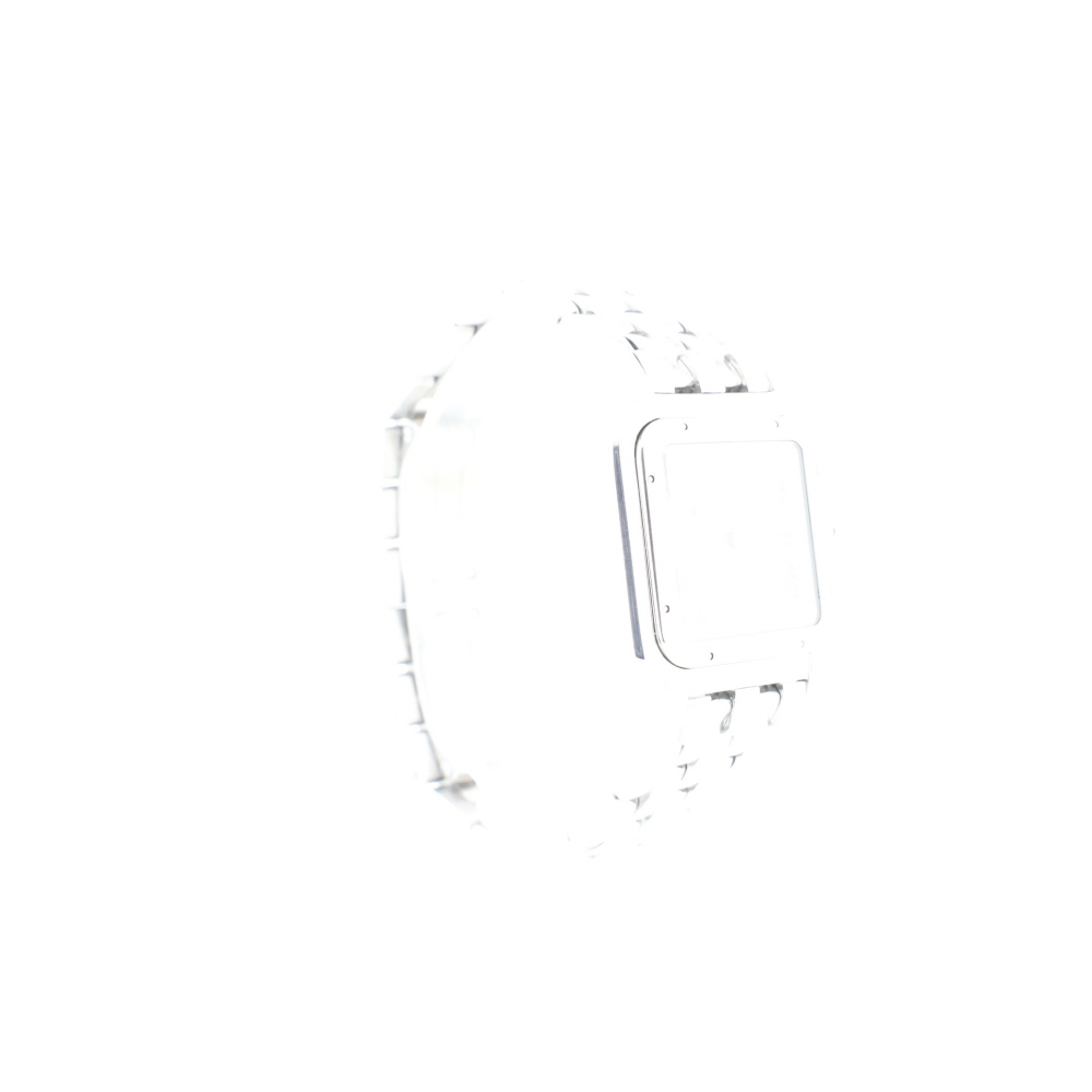 Panthere Medium Steel