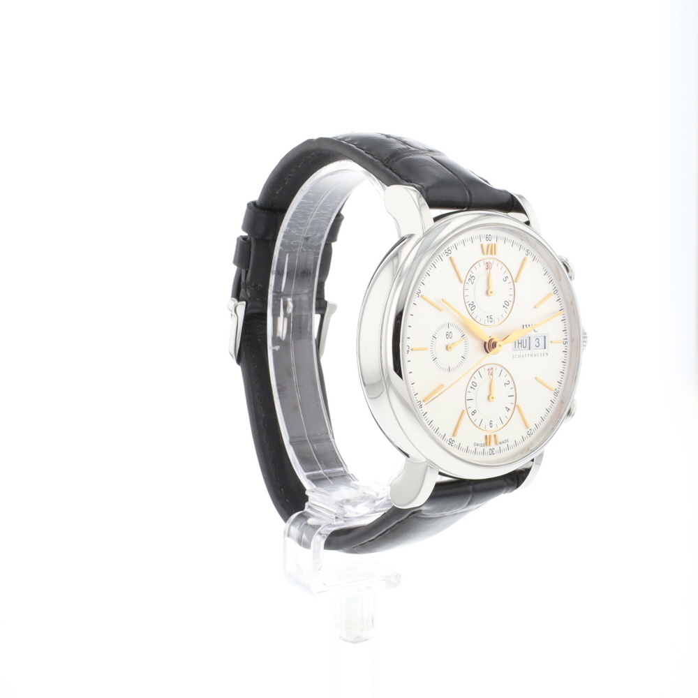 Portofino Chronograph Silver Dial