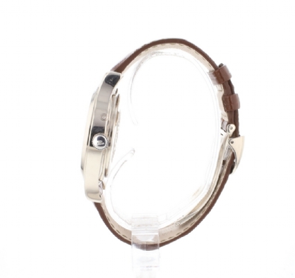 Master Control Geographic White Gold Grey Dial