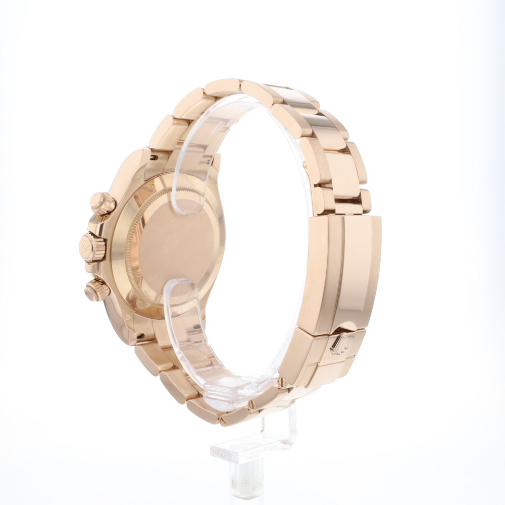 Daytona Everose Gold Choco Dial